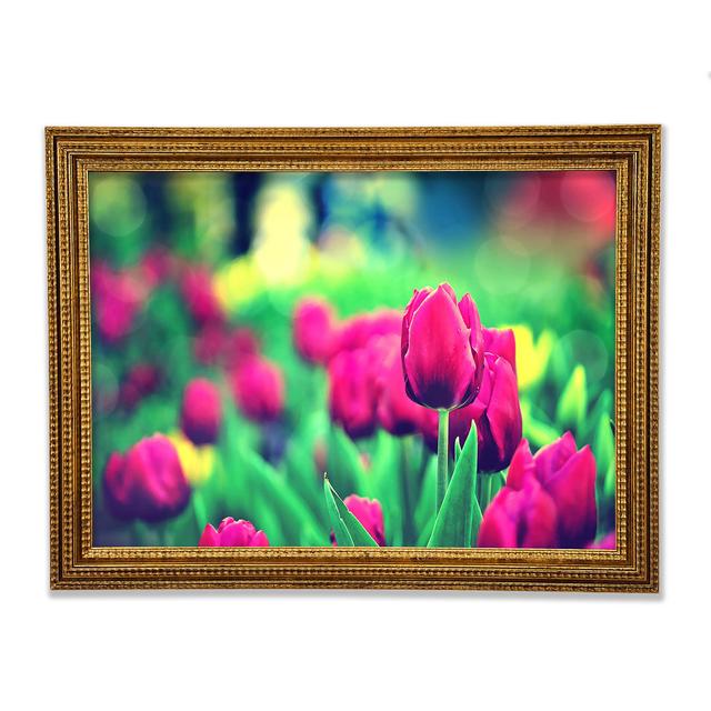 Cerise Tulip Garden - Druck Ebern Designs Format: Poster mit goldenem Rahmen, Größe: 84.1cm H x 118.9cm B x 3cm T on Productcaster.