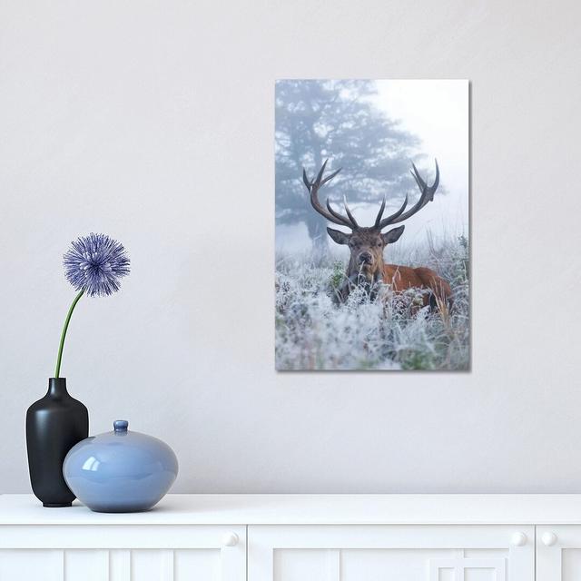 Frosty Stag by Max Ellis - Wrapped Canvas Painting Alpen Home Size: 45.72cm H x 30.48cm W x 1.905cm D on Productcaster.