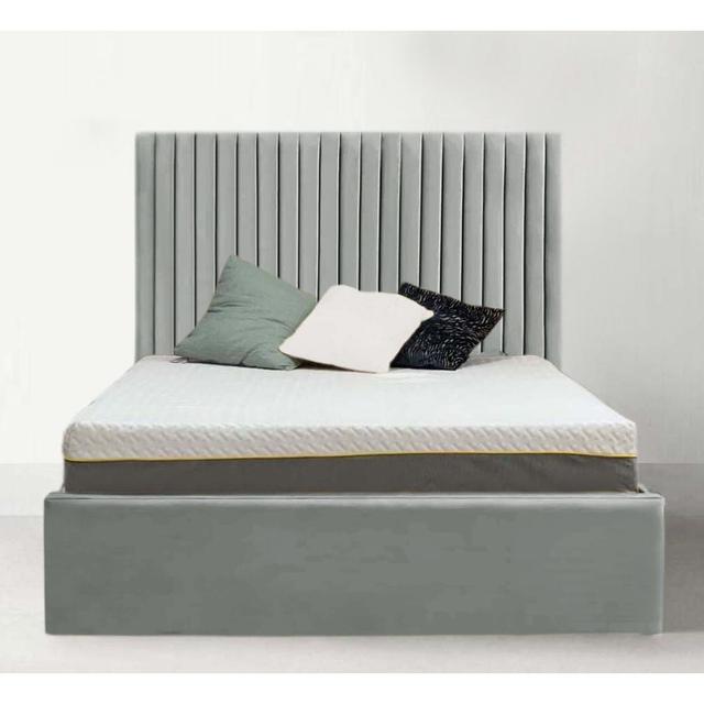 Leopoldine Upholstered Panel Bed Ebern Designs Colour: Silver, Size: Double (4'6) on Productcaster.