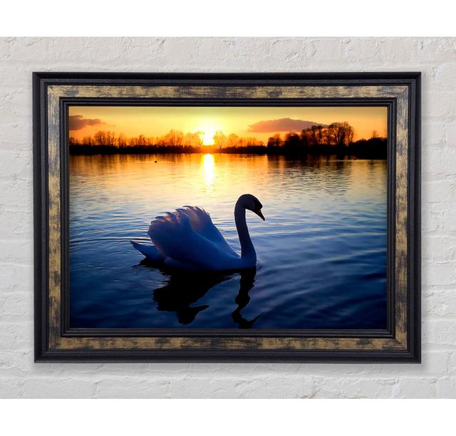 Lonely Swan - Single Picture Frame Art Prints Ebern Designs Size: 29.7cm H x 42cm W x 8cm D on Productcaster.