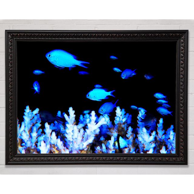 The Ocean World - Single Picture Frame Art Prints Bright Star Size: 59.7cm H x 84.1cm W on Productcaster.