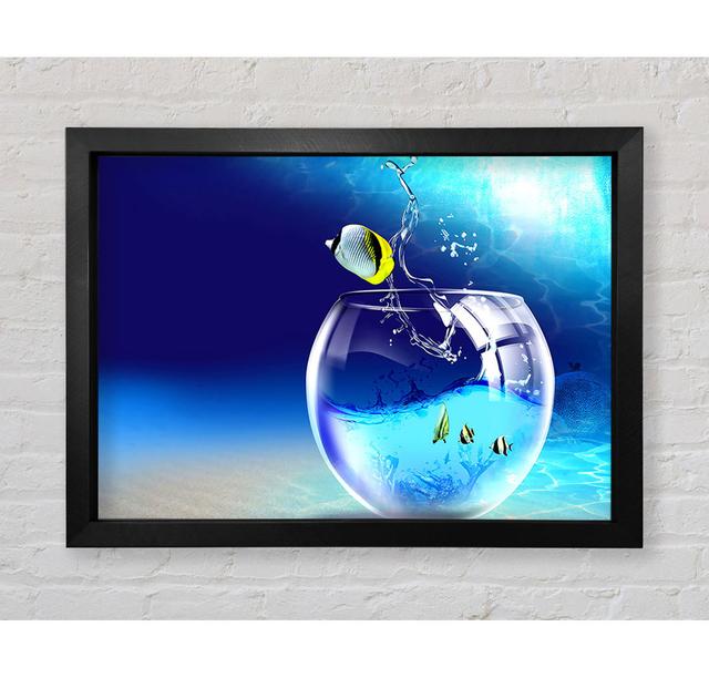 Fishy Life Framed Print Wall Art House of Hampton Format: Black Framed Paper, Size: 100.1cm H x 141.4cm W x 3.4cm D on Productcaster.