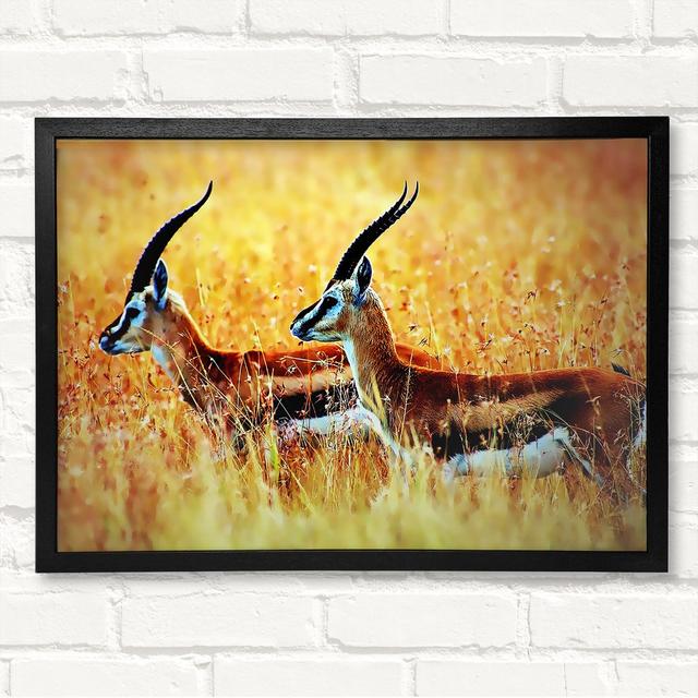 In The Wild Framed Print Alpen Home Size: 42cm H x 59.7cm W on Productcaster.