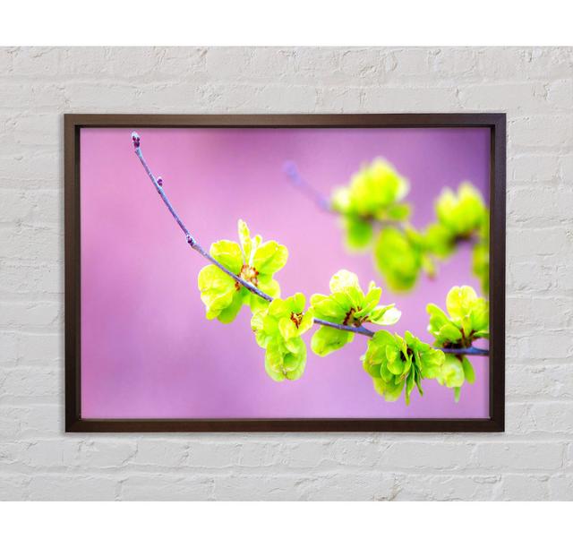 Small Flowers - Single Picture Frame Art Prints on Canvas Bright Star Size: 59.7cm H x 84.1cm W x 3.3cm D on Productcaster.