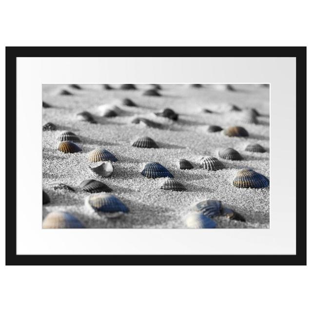 Muscheln im Sand Gerahmter Fotokunstdruck Poster East Urban Home Größe: 40 cm H x 55 cm B, Farbe: Grau on Productcaster.