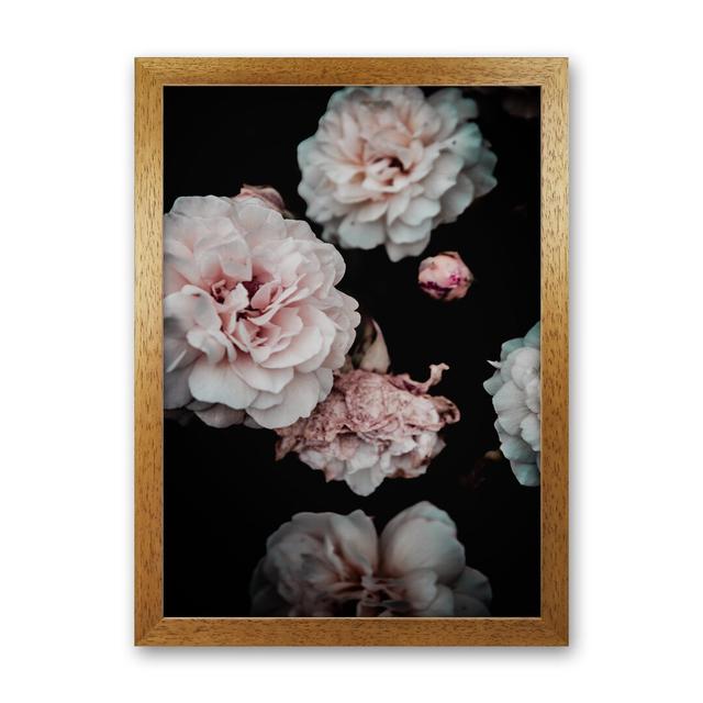 Crisp Pink by Victoria Frost - Print Mercer41 Size: 46cm H x 34cm W x 3cm D, Format: Oak Framed on Productcaster.