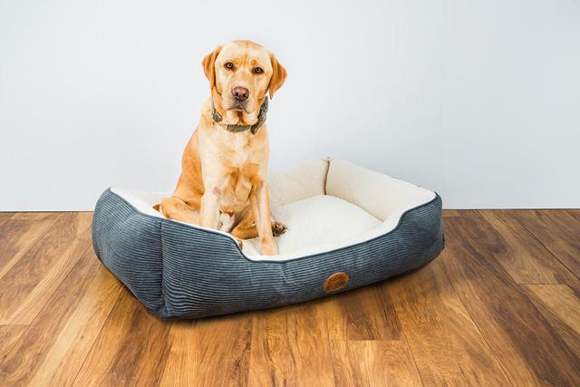 Snug And Cosy Multi CORD Pet Bed Snug and Cosy Size: 24cm H x 60cm W x 52cm D on Productcaster.