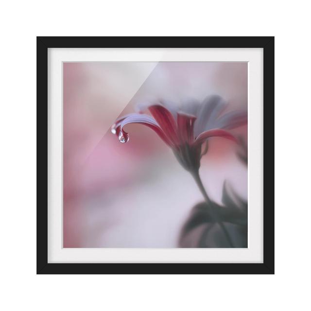 Invisible Touch Framed Photographic Art Print East Urban Home Frame Options: Matt black, Size: 50cm H x 50cm W on Productcaster.