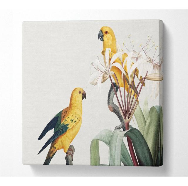 Doveton Two Yellow Parrots - Print ClassicLiving Size: 50.8cm H x 50.8cm W x 10cm D on Productcaster.