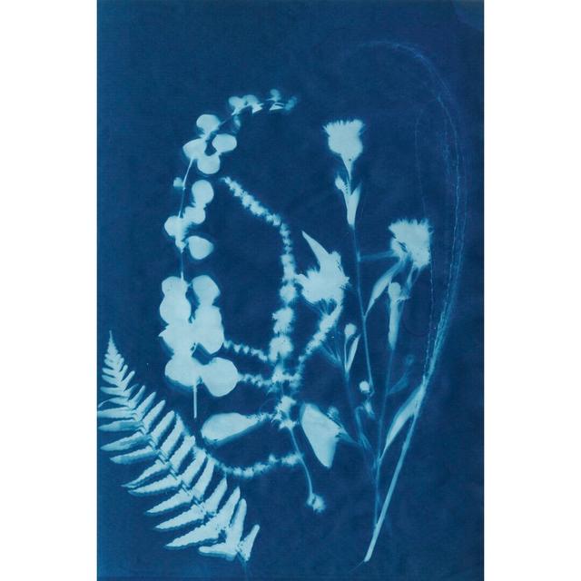 Cyanotype No.16 by Jenna Guthrie - Wrapped Canvas Painting Rosalind Wheeler Size: 76cm H x 51cm W on Productcaster.