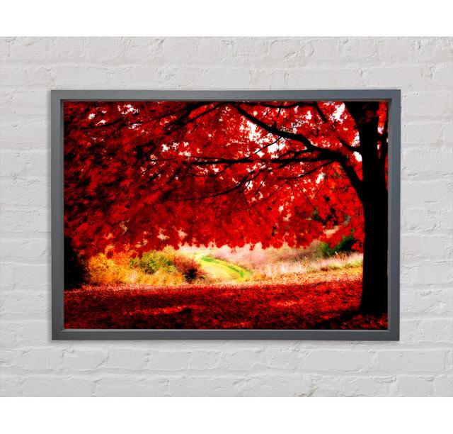 Red Autumn Tree Framed Print Bright Star Size: 100cm H x 141.4cm W x 3.3cm D on Productcaster.