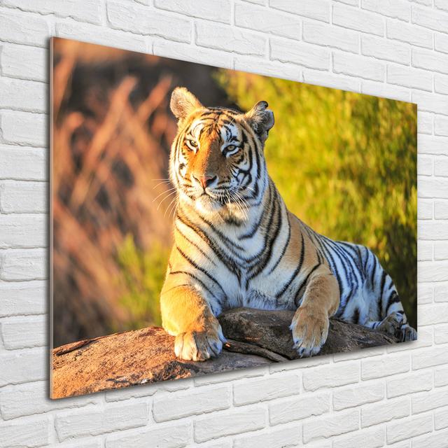 Portrait Of A Tiger - Unframed Art Prints on Glass Ebern Designs on Productcaster.