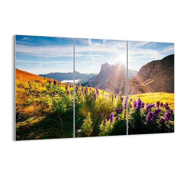 The Secret Life of Herbs - 3 Piece Unframed Photograph Print Set on Glass Alpen Home Size: 110cm H x 165cm W x 1.8cm D on Productcaster.