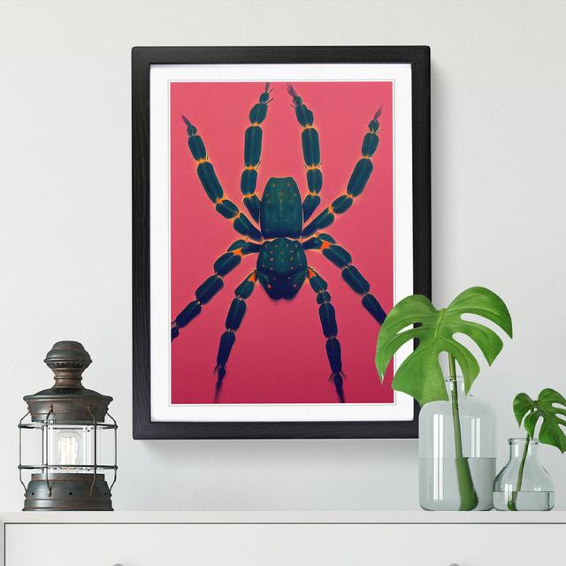 Spider - Single Picture Frame Painting Marlow Home Co. Frame Option: Walnut, Size: 46cm H x 34cm W x 2cm D on Productcaster.