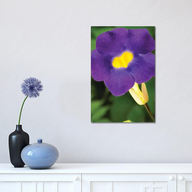 Purple and Yellow Flower - Wrapped Canvas Photograph Latitude Run Size: 45.72cm H x 30.48cm W x 1.905cm D on Productcaster.