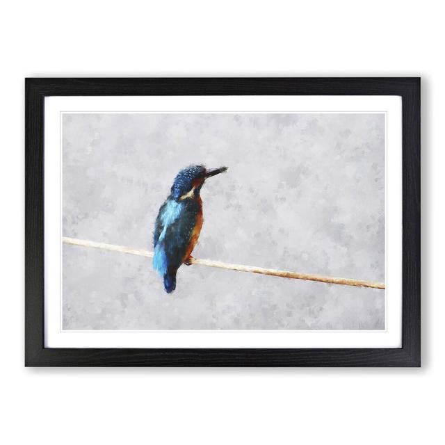 Kingfisher Bird Vol.2 - Picture Frame Painting East Urban Home Size: 36cm H x 48cm W x 2cm D, Frame Option: Black Framed on Productcaster.