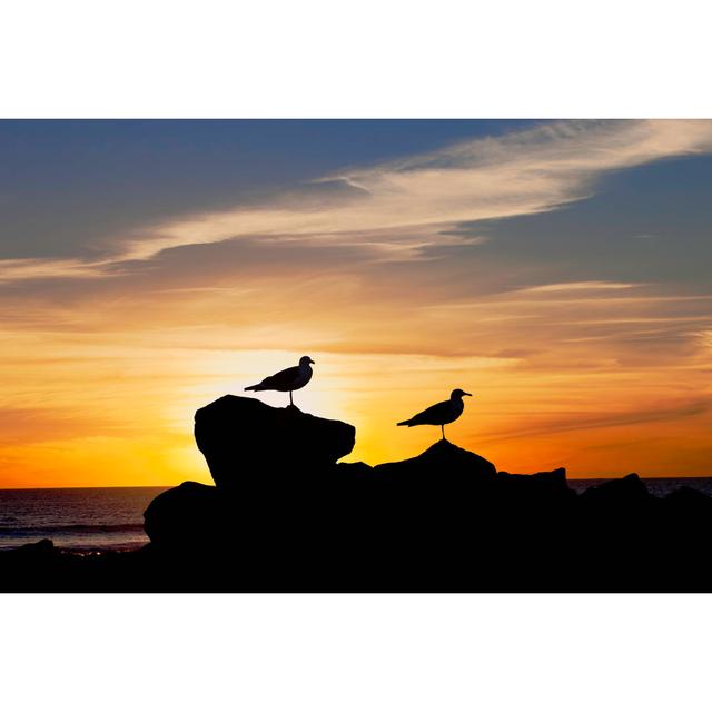 Sea Gulls At Sunset by Ron And Patty Thomas - No Frame Art Prints on Canvas Beachcrest Home Size: 61cm H x 91cm W on Productcaster.