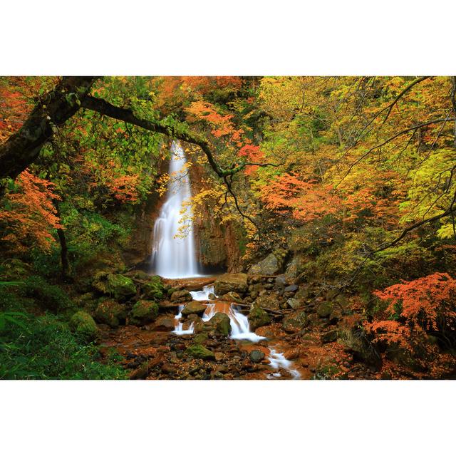 Leis Falls of Autumn Leaves - Wrapped Canvas Photograph Alpen Home Size: 30cm H x 46cm W x 3.8cm D on Productcaster.