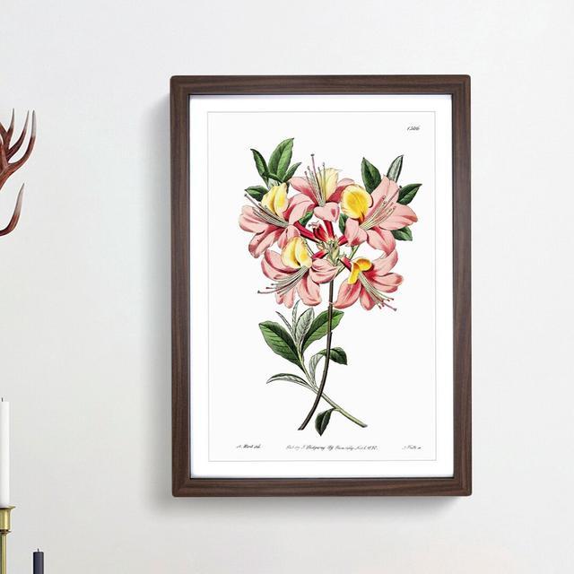 Pretty Pink Azalea Flowers - Picture Frame Painting Print East Urban Home Frame Option: Walnut Framed, Size: 48cm H x 36cm W x 2cm D on Productcaster.