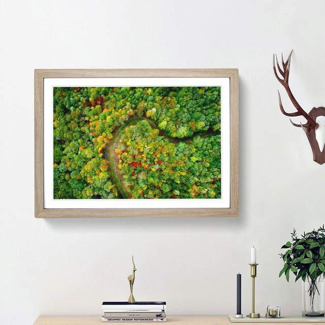 Road Through the Forest - Picture Frame Painting Print East Urban Home Size: 45cm H x 63cm W x 2cm D, Frame Option: Oak Framed on Productcaster.