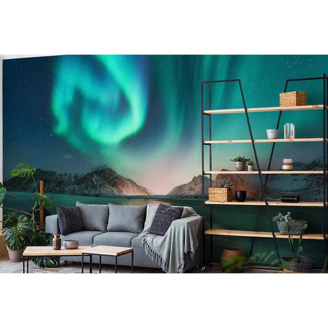 Brock Frosted Finish Paste the Wall Mural House of Hampton Size: 280cm H x 400cm W on Productcaster.