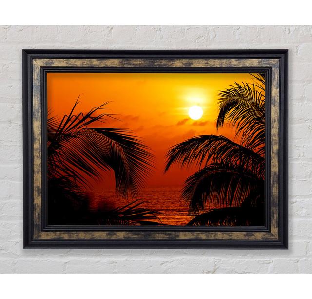 Single Picture Frame Art Prints Bright Star Size: 59.7cm H x 84.1cm W on Productcaster.