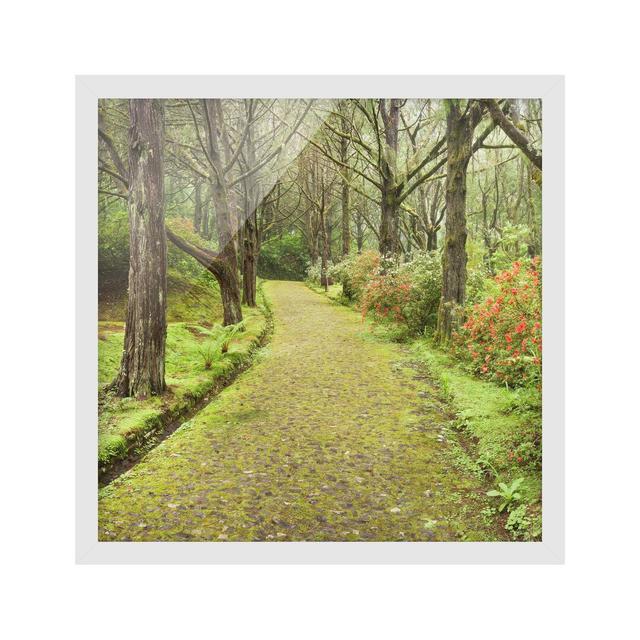 Mossy Street - Picture Frame Photograph Union Rustic Frame Option: White Framed, Size: 70cm H x 70cm W x 2cm D on Productcaster.