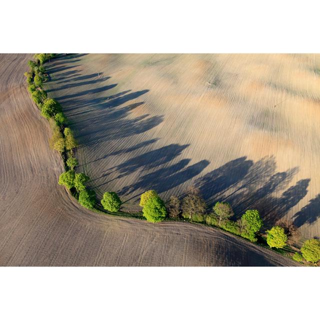 Aerial Photo Of A Field In Spring by DariuszPa - Wrapped Canvas Art Prints Alpen Home Size: 51cm H x 76cm W on Productcaster.