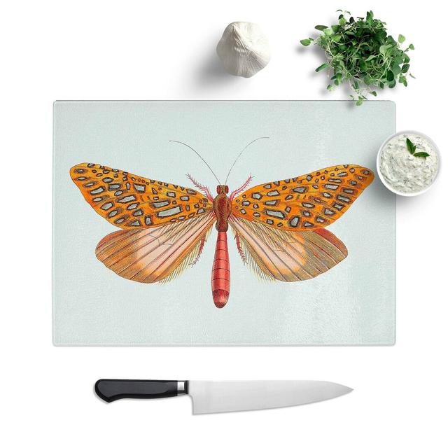 Tempered Glass Venus Moth by George Shaw Cutting Board East Urban Home Size: 39 cm W x 28.5 cm L on Productcaster.