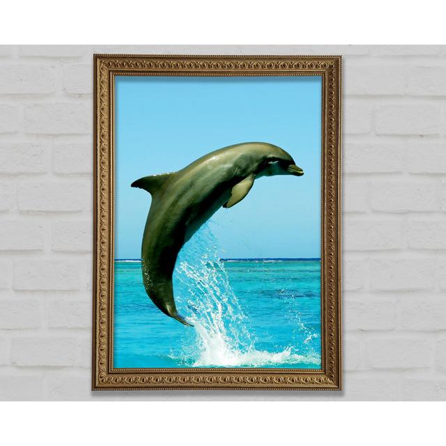 Dolphin Jump Framed Print Highland Dunes Size: 29.7cm H x 21cm W on Productcaster.