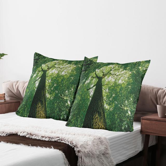 Tree Branch Microfiber / Polyester Sham (Set of 2) East Urban Home on Productcaster.