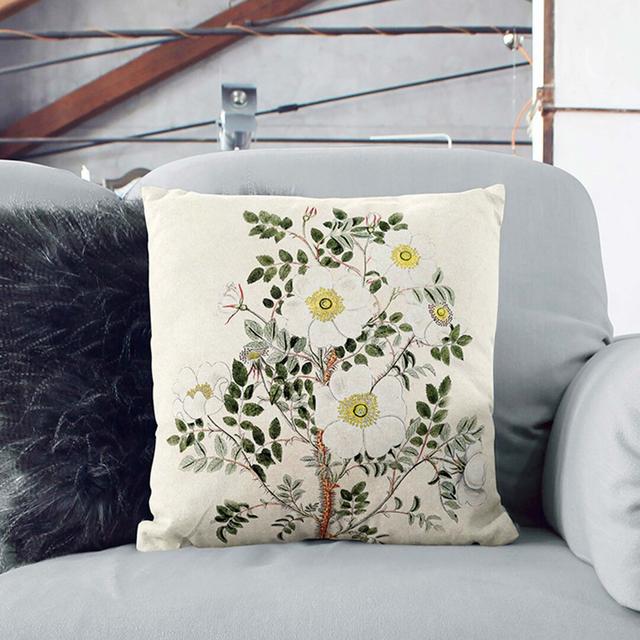 Burnet Rose Flower Illustration Floral Square Throw Cushion East Urban Home Size: 40cm H x 40cm W x 15cm D, Backing Colour: Stone on Productcaster.