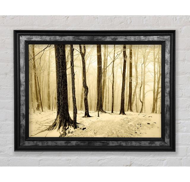 Winter Woodland Snow - Single Picture Frame Art Prints Union Rustic Size: 42cm H x 59.7cm W x 3cm D, Format: Black Framed Wood on Productcaster.