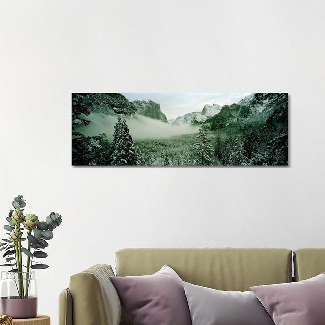 Trees In A Forest, Yosemite National Park, Mariposa County, California, USA - Wrapped Canvas Panoramic Print Union Rustic Size: 40.64cm H x 121.92cm W on Productcaster.