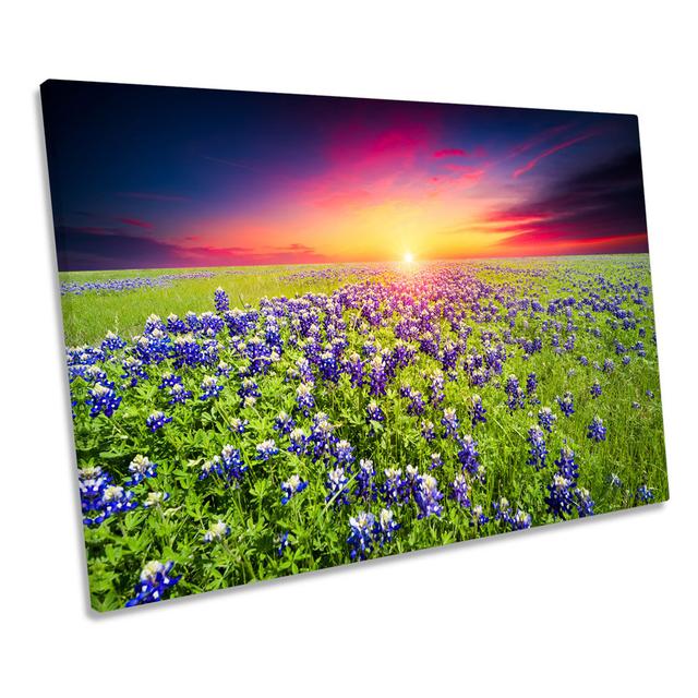 Flowers Landscape Sunset Wrapped Canvas Art Print Ebern Designs Size: 81.3cm H x 121.9cm W on Productcaster.