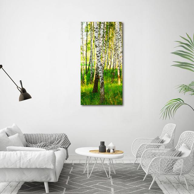 Birch Forest - Wrapped Canvas Art Prints Union Rustic on Productcaster.