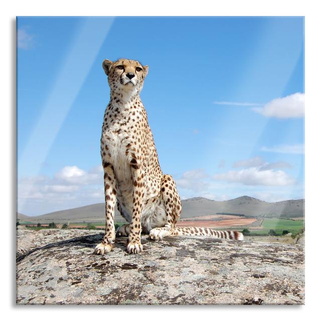 Watchful Cheetah - No Frame Print on Glass Ebern Designs Size: 80cm H x 80cm W x 0.4cm D on Productcaster.