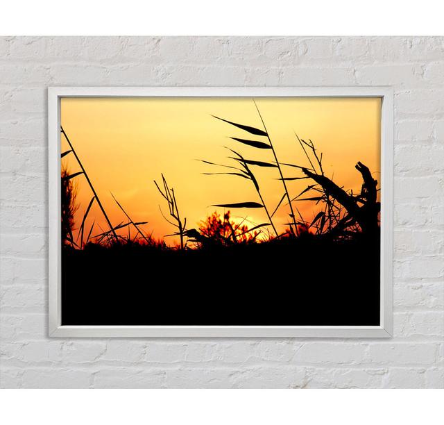 Sunset Reeds - Single Picture Frame Art Prints on Canvas Ebern Designs Size: 59.7cm H x 84.1cm W x 3.3cm D on Productcaster.