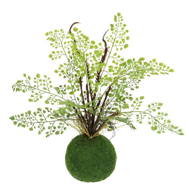 Fern Arrangement Die Saisontruhe on Productcaster.