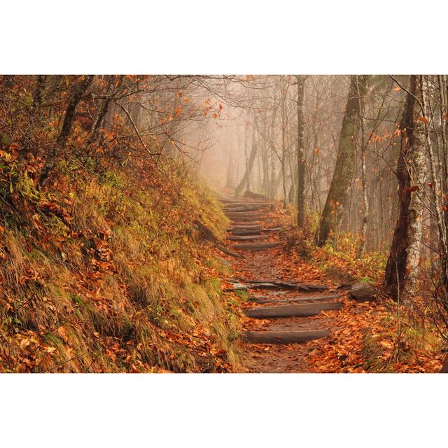 Foggy Appalachian Trail Ebern Designs Size: 81cm H x 122cm W x 3.8cm D on Productcaster.