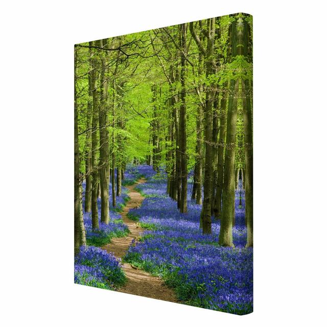 Trail - Wrapped Canvas Graphic Art Print East Urban Home Size: 90cm L x 60cm W on Productcaster.