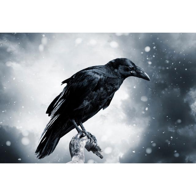 Raven by D-Keine - No Frame Print on Canvas 17 Stories Size: 81cm H x 122cm W on Productcaster.