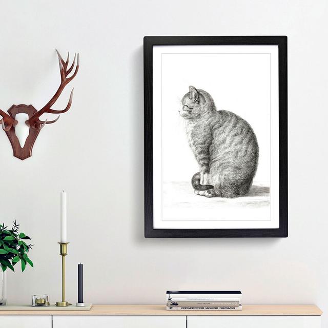 'A Sitting Cat' by Jean Bernard - Picture Frame Drawing Print on Paper East Urban Home Format: Black Bordered Framed, Size: 45cm H x 33cm W x 2cm D on Productcaster.