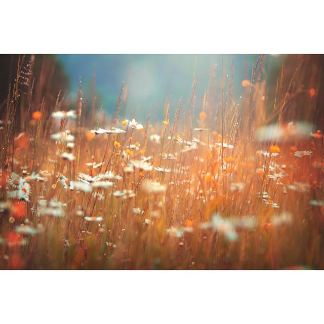 Idyllic Summer Meadow - Wrapped Canvas Print 17 Stories Size: 61cm H x 91cm W on Productcaster.