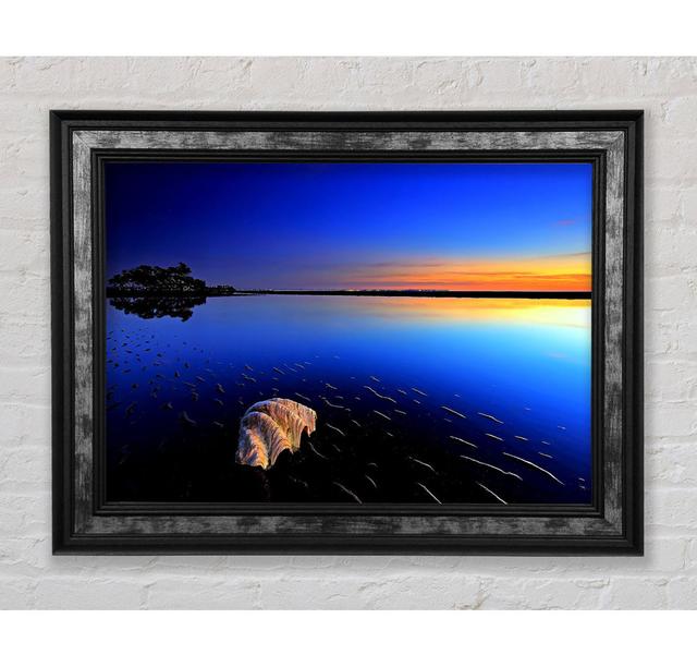 Shell On The Deep Blue Ocean - Single Picture Frame Art Prints Bright Star Size: 84.1cm H x 142.2cm W x 8cm D on Productcaster.