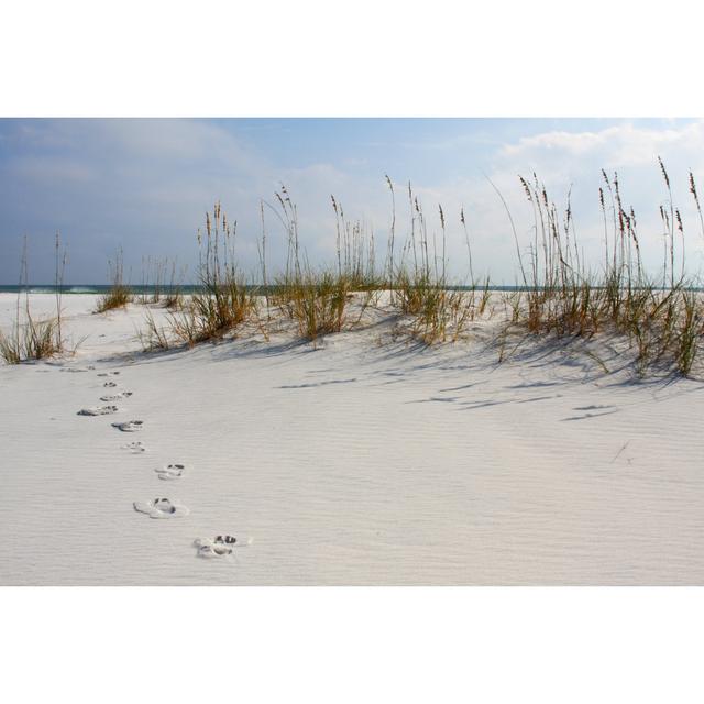 Steps Along Beach Dunes 187559108 House of Hampton Size: 30cm H x 46cm W x 3.8cm D on Productcaster.