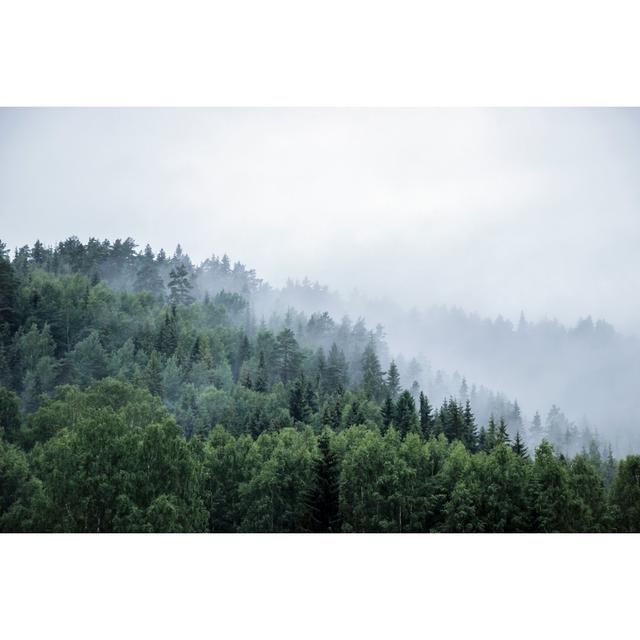 Felippe Pine Trees On Mountains - Print Alpen Home Size: 30cm H x 46cm W x 3.8cm D on Productcaster.