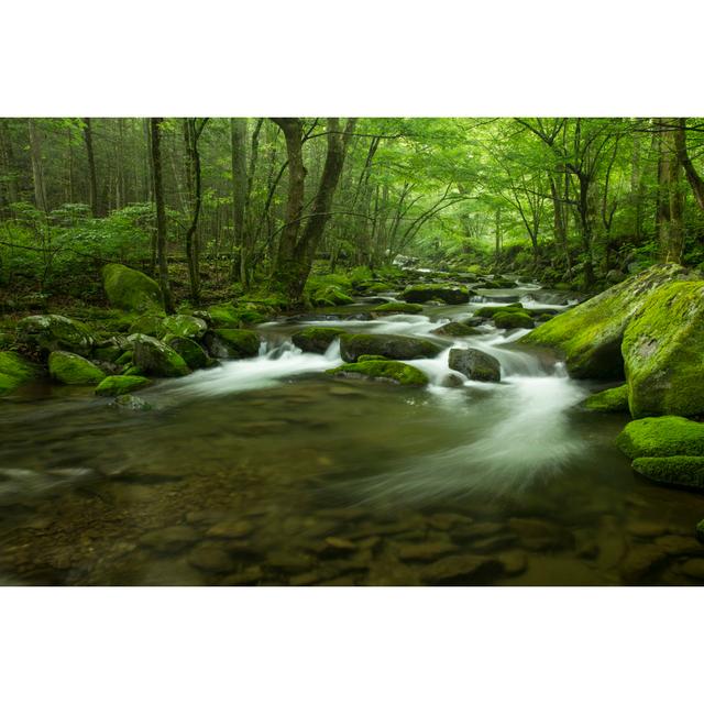 Christenson Mountain Stream After Rain by Rogertrentham - Wrapped Canvas Photograph Alpen Home Size: 20cm H x 30cm W x 3.8cm D on Productcaster.