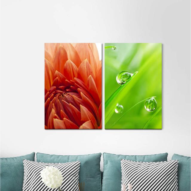 2-tlg. Leinwandbilder-Set - Fotografie „Dahlia Flower Blades of Grass Water Drops Fresh Green” East Urban Home on Productcaster.