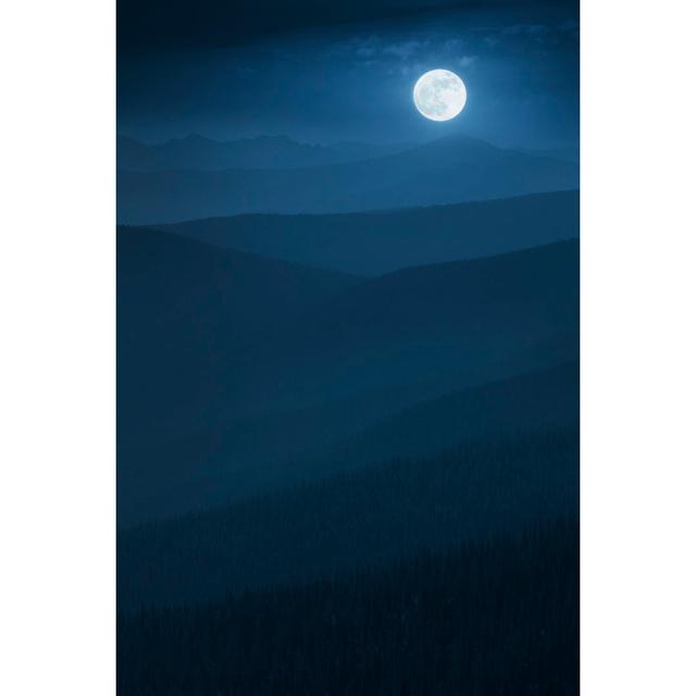 Midnight Misty Moonrise by Ricardoreitmeyer - No Frame Art Prints on Canvas 17 Stories Size: 30cm H x 20cm W on Productcaster.